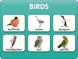 Animal flashcards with video screenshot 1