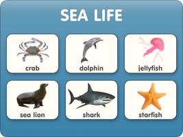 Animal flashcards with video screenshot 2