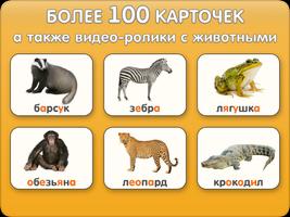 Звуки животных Cartaz