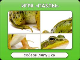Звуки животных imagem de tela 3
