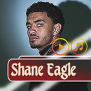 Shane Eagle All Songs Music APK