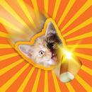 Candy Cat APK