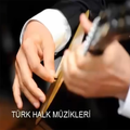 Türkülerimiz İnternetsiz (50 Türkü)