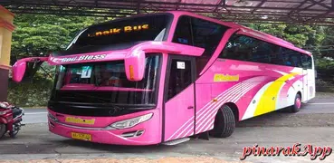 Telolet Bus SHD