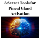 Pineal Gland Activation icon