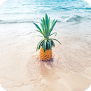APK Pineapple HD Wallpaper