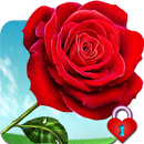Red Rose Heart Pin Lock Screen APK