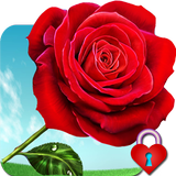 Red Rose Herz Pin Lock Zeichen