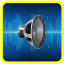APK Distorcere Voice Recorder Joke