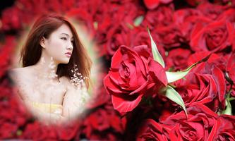 Beautiful Roses Photo Frames 截图 1