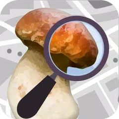 Mushroom Identify - Automatic  アプリダウンロード