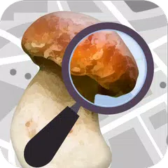 Mushroom Identify - Automatic 