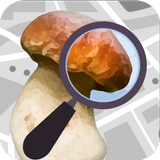 Mushroom Identify (признать гр