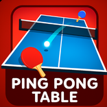 Ping Pong Table
