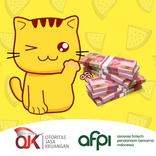 Tips Pinjaman Cepat Cair