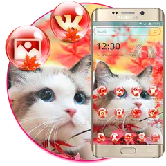 Pink Cute Kitty Theme APK 下載