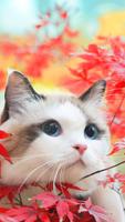 3 Schermata Tema rosa carino di gattino