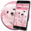 Pink white puppy theme APK