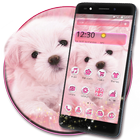 Pink white puppy theme icon