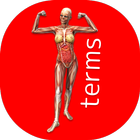 BIG Anatomy Dictionary icon