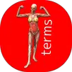 Diccionario de Anatomía APK