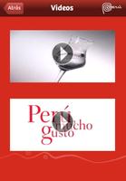 Pisco Peru syot layar 2