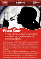 Pisco Peru syot layar 3