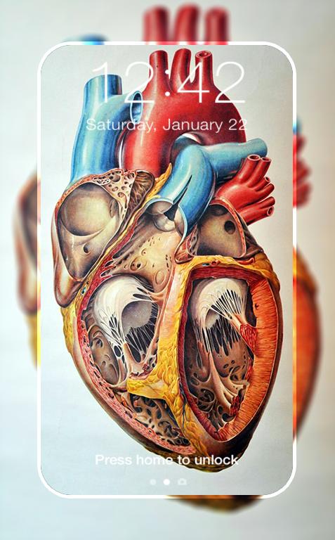 Anatomy Wallpapers HD 4K APK for Android Download