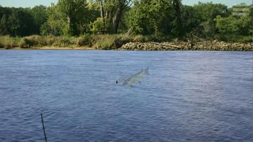 Musky Country capture d'écran 1