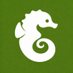Pista icon