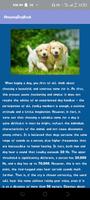 AmazingDogBook Screenshot 3