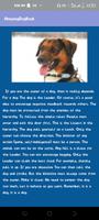 AmazingDogBook Screenshot 1