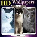 Cats HD Wallpapers & Backgrounds aplikacja