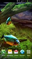 Piranha Aquarium 3D lwp screenshot 3