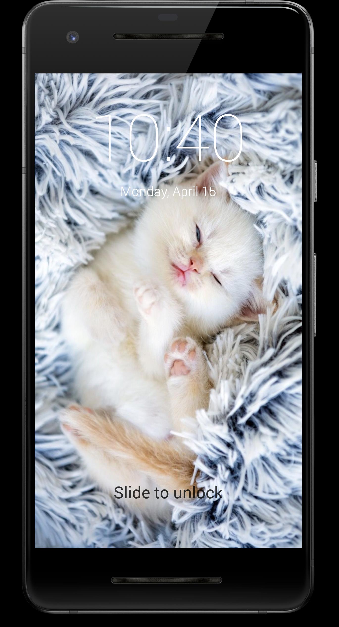 Обои с котиками