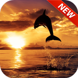 Beach Sunset HD Lock Screen