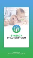 پوستر Synergy Evaluation System