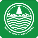 Forest Inspection Regime APK