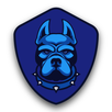 فیلتر شکن قوی - x pitbull vpn APK