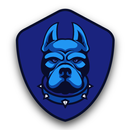 pitbull vpn -fast & Super VPN APK