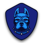 pitbull vpn -fast & Super VPN icône