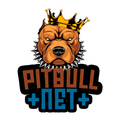 PITBULL VPN 5G+