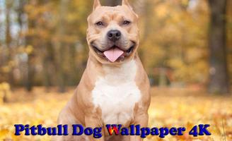 Pitbull Dog Wallpaper Affiche