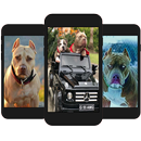 Pitbull Dog Wallpapers APK
