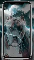 Pitbull Dog Wallpaper 截图 3