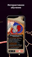 SYSTEMA: Atlas anatomique capture d'écran 1