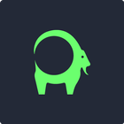 Pitikapp иконка