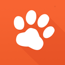 APK PitPat