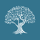 A.Pitsillides APK