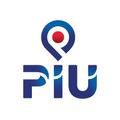 PIU Consultant